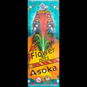 Flower Pot Ashoka